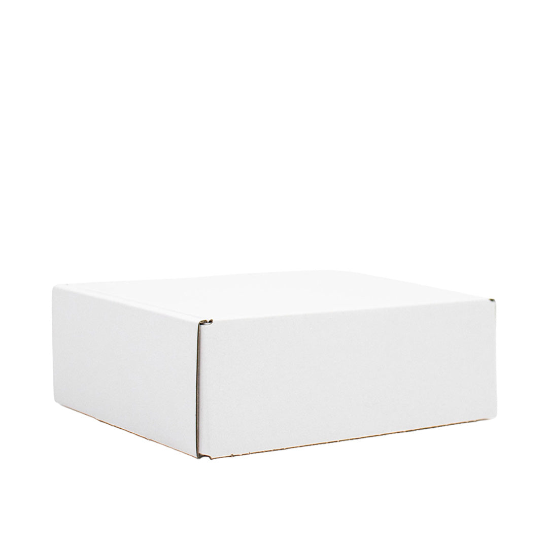 50x postdozen Wit 152x101x46mm