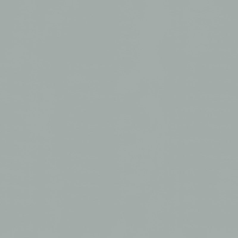 Inpakpapier Zilver 50cm x 200mtr