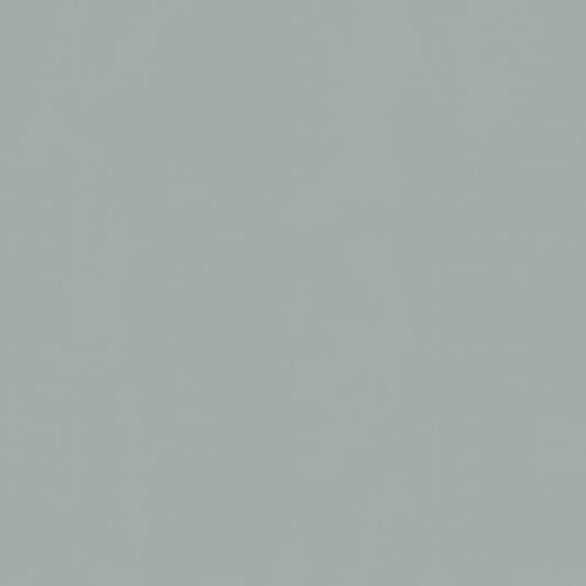 Inpakpapier Zilver 50cm x 200mtr