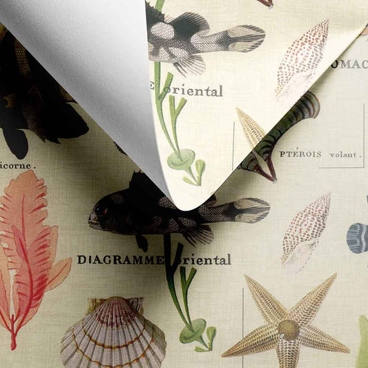 Inpakpapier Sansibar 50cm x 200mtr