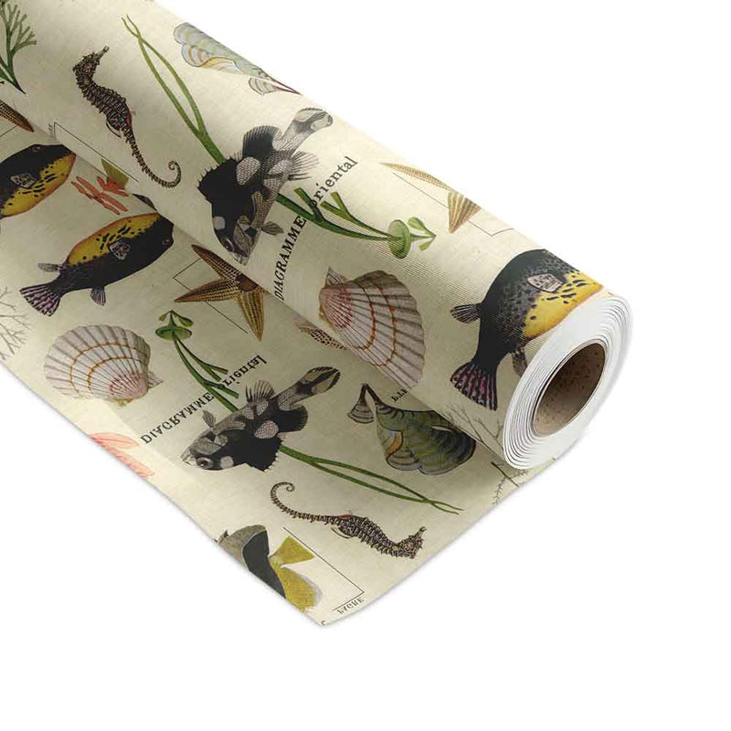 Inpakpapier Sansibar 50cm x 200mtr